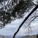 참살이 | 안성 참살이캠핑장 방문 후기!