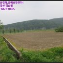 점곡초등학교 병설유치원 | 경북 의성군 토지(전)경매, 의성군 점곡면 사촌리 302-2 # 2017타경617 #