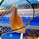 제주회수산 이미지