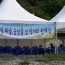 해바유 이미지
