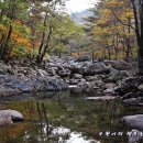 치산관광지 캠핑장 이미지