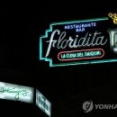 플로리디타