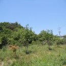 대산면920 이미지