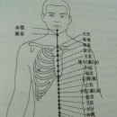 위장질환에 대한치료 이미지