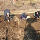 어미들 농장 이미지