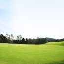 매니아프라자 이미지