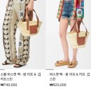 리프팜 | [쇼핑] 로에베 라탄백 스몰 바스켓 백 (팜 리프 카프스킨) 구매후기
