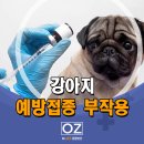 Dr. 오즈 동물병원 이미지