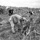 무학농장 이미지