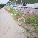 청룡낚시터