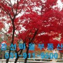 파아란공인중개사사무소 이미지