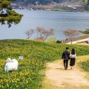 산업로1-3 이미지