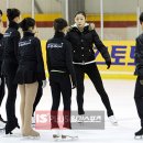 꿈나무수정 이미지