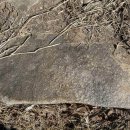 성산면-2 이미지