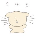 깔끔이 스팀세차 이미지