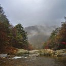 계곡&풍경 이미지