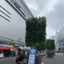 미래안경 이미지