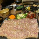 민속마을탱자나무 이미지