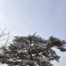 솔아농장 이미지