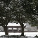 도팍네특산품 이미지