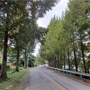 산책길에 이미지