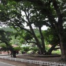 내룡보건진료소 이미지