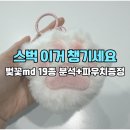 MD세탁 | 스타벅스 벚꽃 md 2026 실물 후기, 19종 실용성 분석 (+꾹꾹이 파우치 무료 정보)