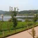 월랑 아파트 이미지