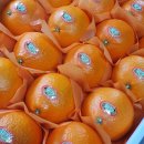 건강해진팜 이미지