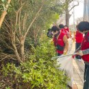 동삼1동-20 이미지