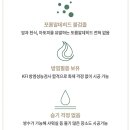 하이테디 이미지