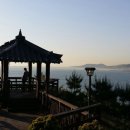 신일산동물병원 이미지