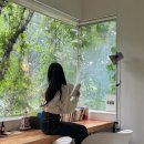 촌장두부마을 | [경기 파주] 파주 헤이리마을 감성 북스테이 모티프원 힐링 여행 (9월 방문/미러룸)