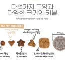 뷰티 앤 독 이미지