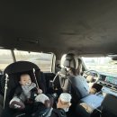 주차29 | 6개월아기랑 성수 나들이 / 29키즈 평일 방문 후기, 주차