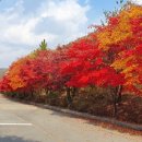 대둔산도립공원 이미지