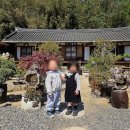 선유산방
