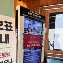 돈만땅 | [맛집 후기] 부산 해운대 '금수복국' 복불고기랑 은복국 내돈 내산 후기 및 복어 종류 차이