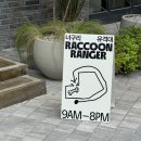 너구리 유격대 이미지