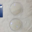 아이러브렌즈안경점 이미지