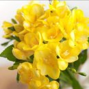 매화세탁소 이미지