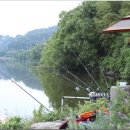 남강민물장어 이미지