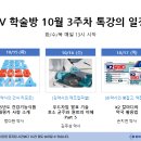 비던스 이미지