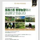 포레스트병원 이미지