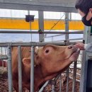 명호축산 이미지