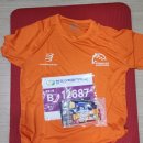 신라공업고등학교 | 쎈척의 경주동아마라톤 풀코스 완주후기 (서브4 턱걸이)