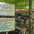 10월 에버랜드 방문후기 - 스마트줄서기,썬더폴스, 스카이크루즈, 타운즈 마켓 레스토랑