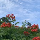 행복누리공원 이미지