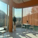 백옥대로730번길 | [용인애견카페] 용인시 처인구 대형견/소형견 가능한 실내 애견카페 울루라떼 방문 후기 🐶