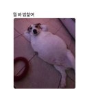 GS세영점 | 아니 벌써 봄..?